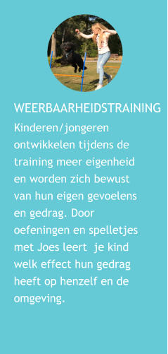 WEERBAARHEIDSTRAINING Kinderen/jongeren ontwikkelen tijdens de training meer eigenheid en worden zich bewust van hun eigen gevoelens en gedrag. Door oefeningen en spelletjes met Joes leert  je kind welk effect hun gedrag heeft op henzelf en de omgeving.